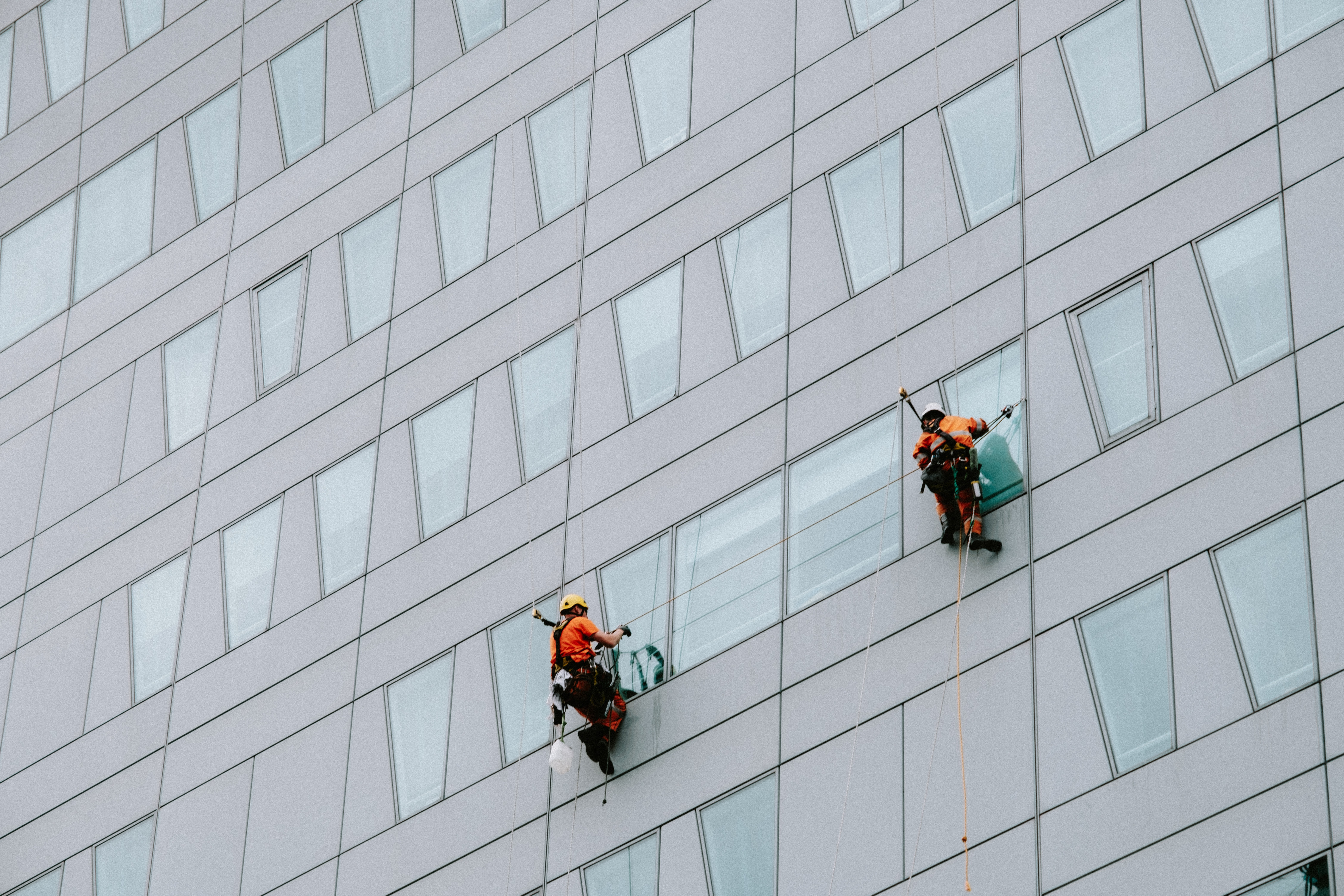 window Cleaner